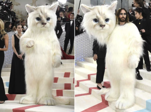 (Foto: AP, Archivo EL UNIVERSAL)