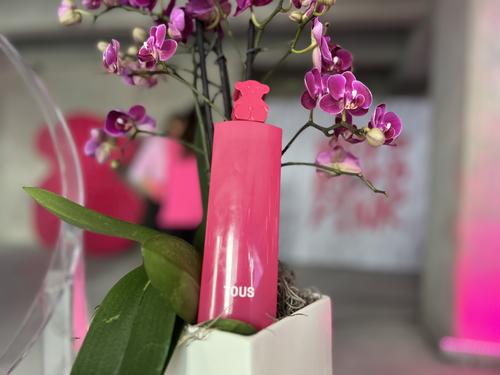 Gran Bazar de Perfumer&iacute;as Fetiche, fragancias, maquillaje, tratamientos de belleza, descuentos, Guatemala, Soy502