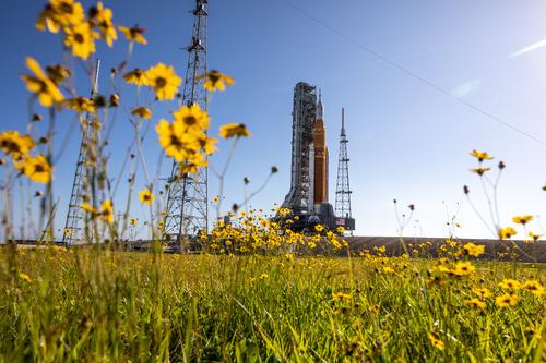 "Wildflowers in Bloom at Kennedy Space Center". (Foto: NASA) 