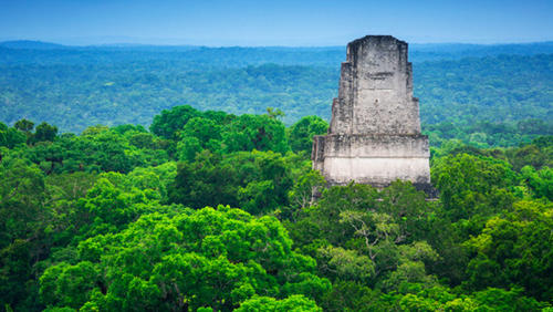 La Reserva de la biosfera maya es el espacio natural protegido mÃ¡s grande de Guatemala. (Foto: RCI)