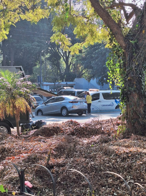 (Foto: redes sociales) 