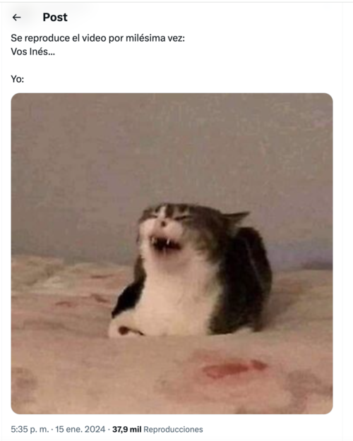 (Foto: captura de pantalla) 