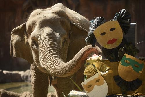 Foto: Wilder L&oacute;pez/Soy502