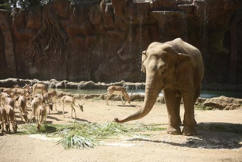 Foto: Wilder L&oacute;pez/Soy502