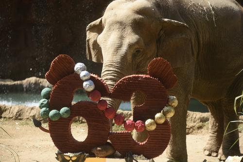 Foto: Wilder L&oacute;pez/Soy502