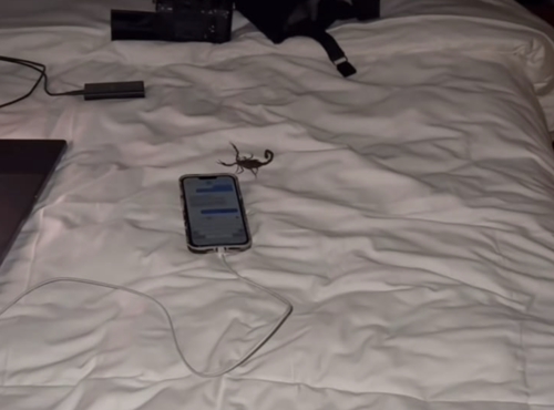 Dylan Efron, Guatemala, Zac Efron