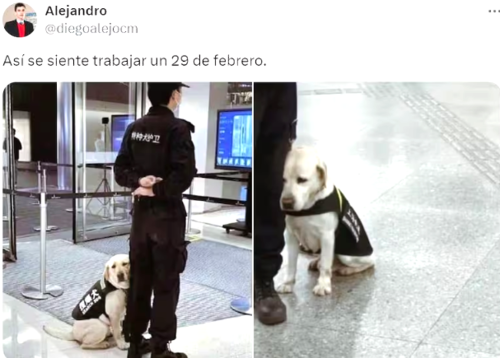 29 de febrero, memes, año bisiesto