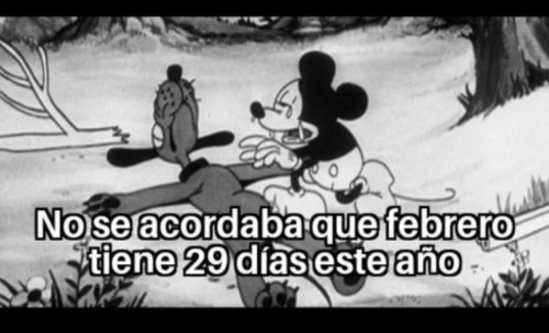 29 de febrero, memes, año bisiesto