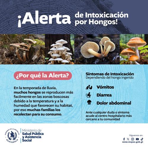 Infórmate y protégete ante la intoxicación. (Foto: MSPAS)