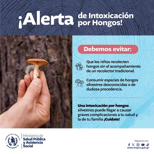 Alerta de intoxicación por hongos. (Foto: MSPAS)