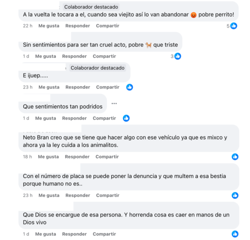 (Foto: captura de pantalla) 