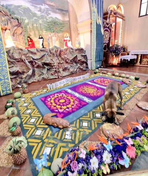 Perro, alfombra, pan, templo, Antigua Guatemala