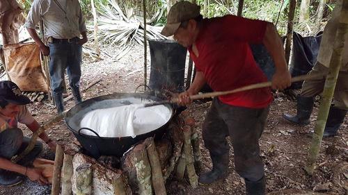 La materia prima del chicle se extrae del árbol de chicozapote, en la zona de usos múltiples de la Reserva de la Biosfera Maya. (Foto: Archivo/Soy502)