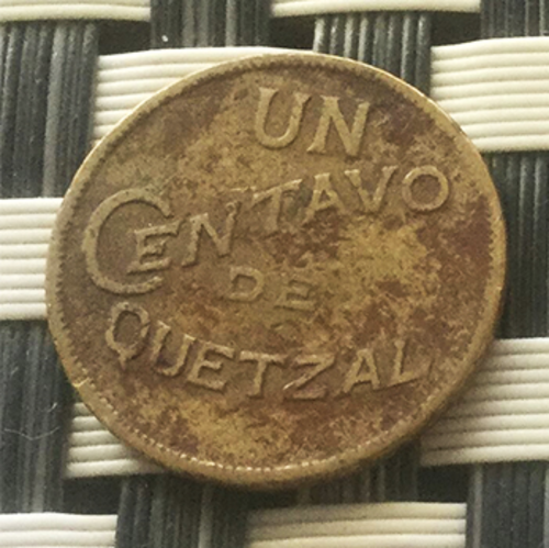 Foto: Elsa Arriola. 