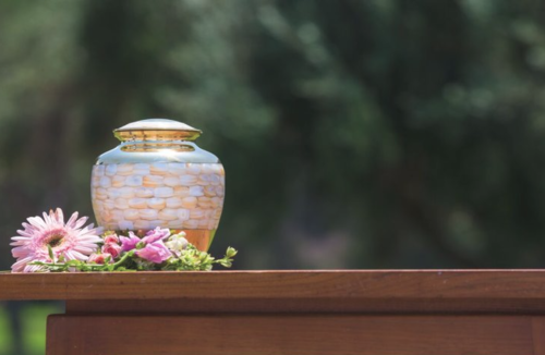 Foto: Redes Sociales. 