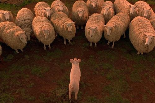 Babe marcó a generaciones con su ternura y compañerismo. (Foto: X)