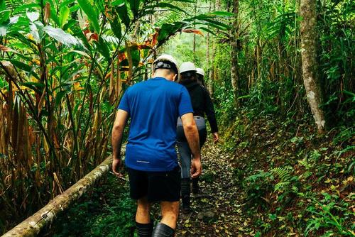Los senderos cautivan en cada paso y se puede sentir un contacto directo con la madre naturaleza. (Foto: Grutas del Rey Marcos)