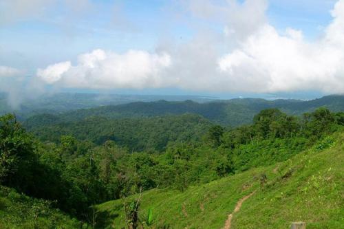 Ministerio de Ambiente, minería, Grenat, licencias mineras, izabal