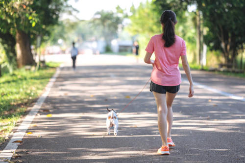 La mañana soleada del domingo es perfecta para un paseo junto a tu mascota. (Foto ilustrativa: istock)