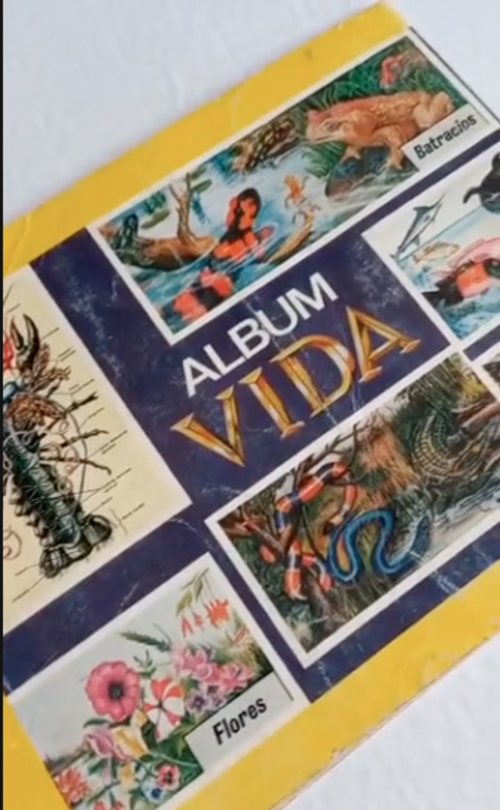 album vida nostalgia 1