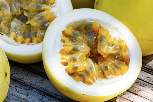 Aprenderás sobre distintos cultivos, como el de maracuyá. (Foto: Finca Sacmoc)