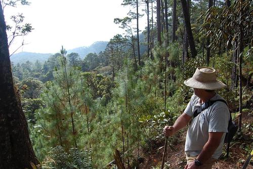 Podrás recorrer distintos senderos rodeado de naturaleza. (Foto: Finca Sacmoc)