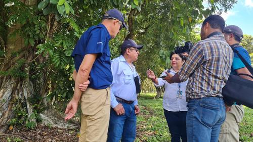 Campo Xan, Perenco, cierre, instalaciones, Guatemala, 02