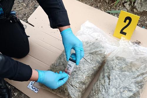 pasajero, droga, autobus, equipaje