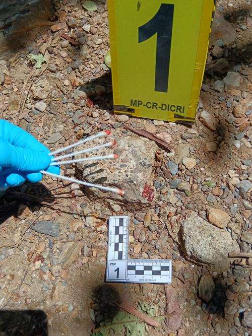 (Foto: Carlos Monroy)