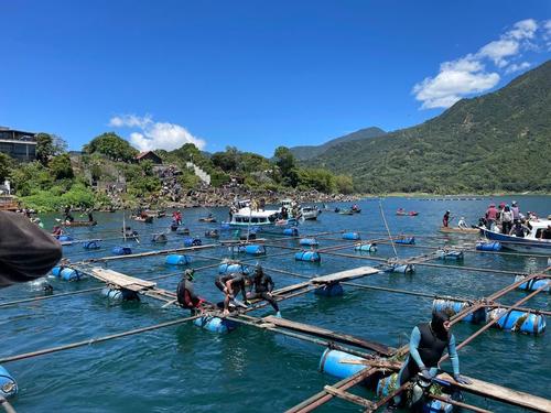 Las jaulas de tilapia afectan a las especies que se encuentran en el lago de Atitlán. (Foto: Alfonso Guárquez/Colaborador)