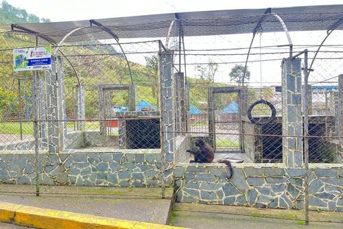 Además posee un zoológico. (Foto: Universidad Regional)