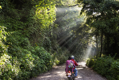Las entradas de luz sobre los árboles son espectaculares. (Foto: Oscar Rivas/colaborador)