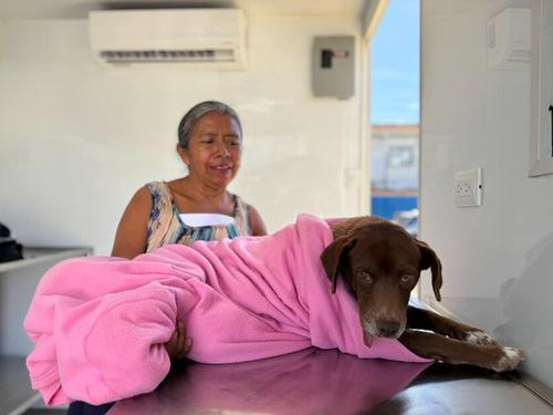 La jornada atrae a familias enteras que llegaron con sus mascotas en brazos. (Foto: Edward Morales/Colaborador)