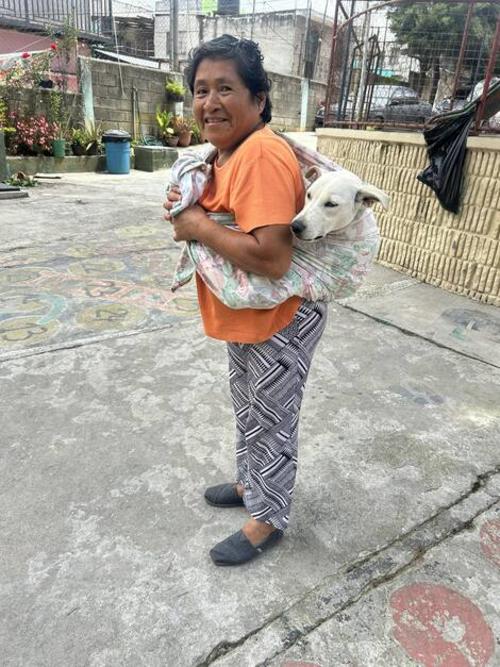 Es importante que los propietarios velen por cuidado y salud de sus mascotas. (Foto: Edward Morales/Colaborador)