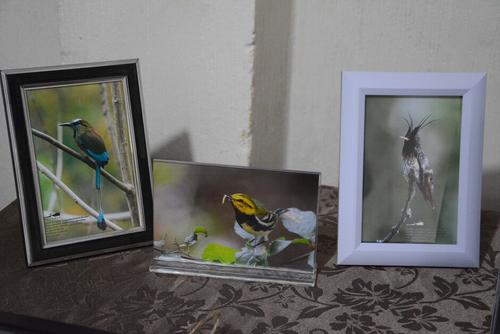 Varias de sus fotografías han sido publicadas en medios internacionales. (Foto: Maynor Mérida/Colaborador)