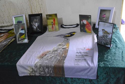 En el altiplano ha logrado capturar a varias especies que pocos llegan a conocen en vivo. (Foto: Maynor Mérida/Colaborador)