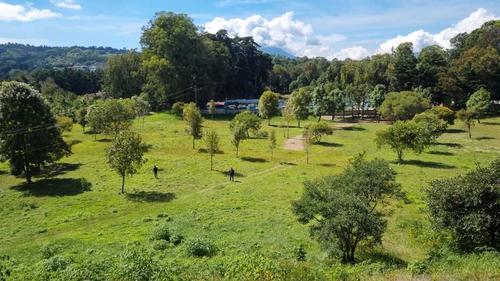 Semetabaj conserva vestigios del periodo Preclásico y Clásico temprano. (Foto: Alfonso Guárquez/Colaborador)