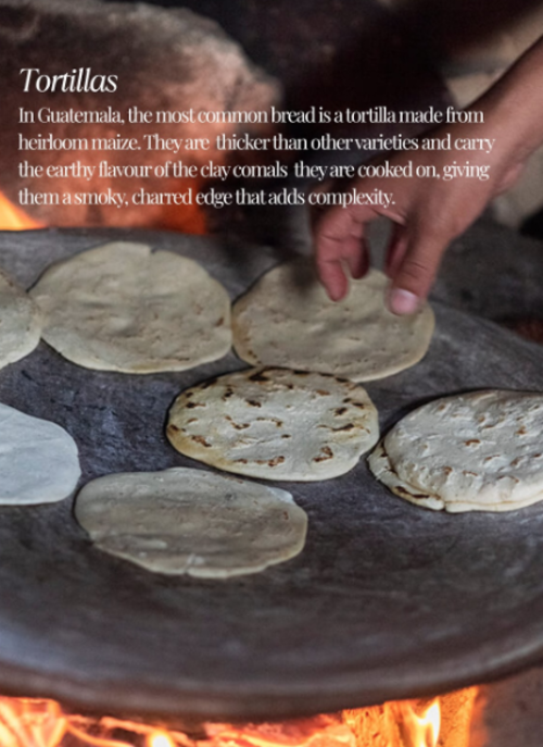 6 comidas probar guatemala 3