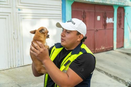 (Foto: Albergue Municipal de Mascotas Mixco)