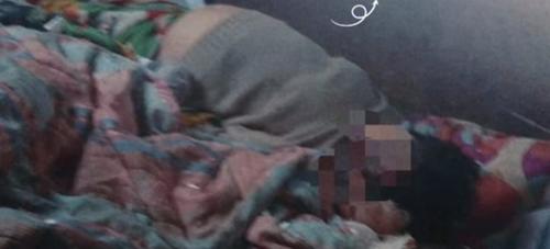 (Foto: Albergue Municipal de Mascotas Mixco)