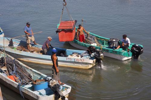 La pesca es una de las actividades principales actualmente en la localidad.