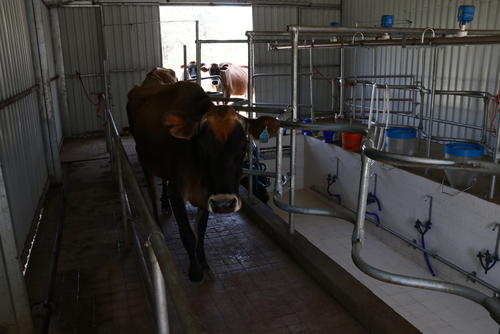 Este es un sitio que combina la naturaleza y la tecnificaci&oacute;n. (Foto: Oswaldo Cop/Colaborador)