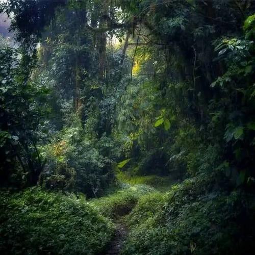 Bellos paisajes, como de un cuento se pueden observar en esta reserva. (Foto: Carlos Monroy/Colaborador)