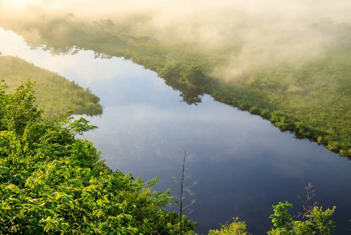 Sus humedales y su vegetaci&oacute;n admiran al visitante. (Foto: Conap.gob.gt)