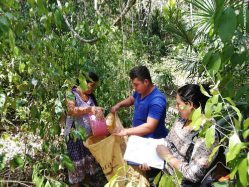 La RBM ha sido utilizada por concesionarios para generar recursos y mantener los bosques. (Foto: Ra&uacute;l Fern&aacute;ndez)