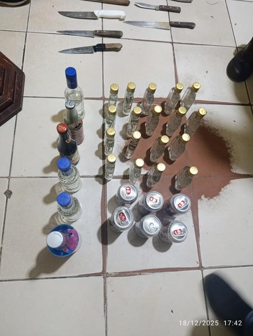 Bebidas alcoh&oacute;licas encontrados durante las requisas. (Foto: PNC)