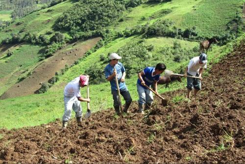 Camagro advirti&oacute; que incrementos salariales que no reflejan la realidad productiva del sector agr&iacute;cola complican la generaci&oacute;n de empleo formal y ampl&iacute;an la brecha entre la econom&iacute;a formal e informal. (Foto: Archivo/Soy502)