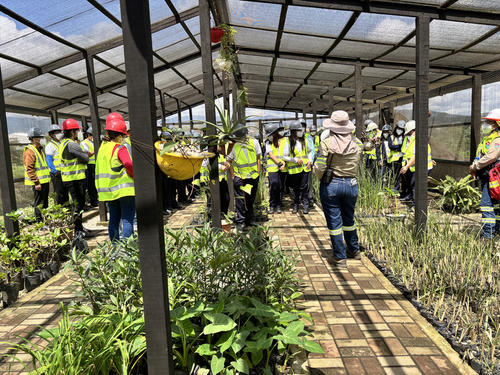 Los visitantes conocen los diferentes proyectos. (Foto: Cortes&iacute;a Municipalidad de Guatemala)