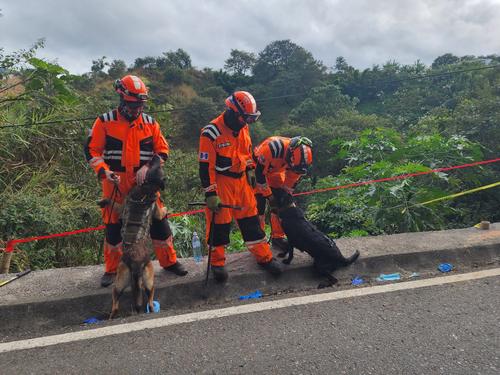 (Foto: Bomberos Voluntarios)