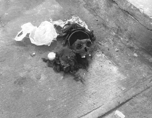 El hombre fue capturado al  excavar una tumba y robar una osamenta para realizar ritual, seg&uacute;n indicaron las autoridades. (Foto: PNC)